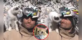 Gatito que fue rescatado del terremoto en Turquía no quiere dejar a su salvador Gatito que fue rescatado del terremoto en Turquía no quiere dejar a su salvador