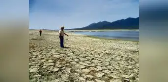 Falta de lluvias en el medio y bajo Piura pone en riesgo 50.000 hectáreas de cultivos Falta de lluvias en el medio y bajo Piura pone en riesgo 50.000 hectáreas de cultivos