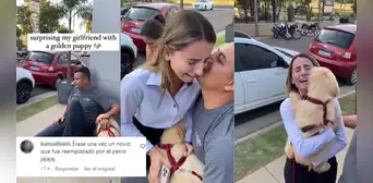 Joven le obsequia un cachorro golden a su novia y ella rompe en llanto: "Fue reemplazado por el perro"