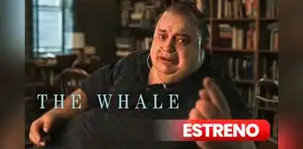 ¿Dónde VER "The whale" ONLINE vía STREAMING? Guía de la película nominada al Oscar 2023 con Brendan Fraser ¿Dónde VER "The whale" ONLINE vía STREAMING? Guía de la película nominada al Oscar 2023 con Brendan Fraser