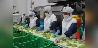 Empleos en el sector exportador lograron cifra récord y superaron los 4,1 millones en 2022 Empleos en el sector exportador lograron cifra récord y superaron los 4,1 millones en 2022