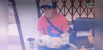 SMP: mujer auxilia a perrito atropellado, sujeto finge ayudarla y le roba celular SMP: mujer auxilia a perrito atropellado, sujeto finge ayudarla y le roba celular