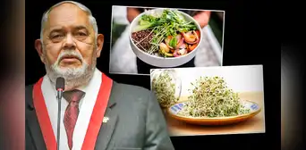 ¿Comida de tercera? Conoce estas 3 recetas fáciles y nutritivas con alfalfa ¿Comida de tercera? Conoce estas 3 recetas fáciles y nutritivas con alfalfa