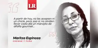 Alfalfa gourmet, por Maritza Espinoza Alfalfa gourmet, por Maritza Espinoza