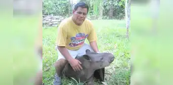 Docente awajún murió intoxicado con veneno para ratas en Amazonas