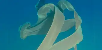 Captan una gigantesca medusa fantasma de 10 metros de largo [VIDEO]