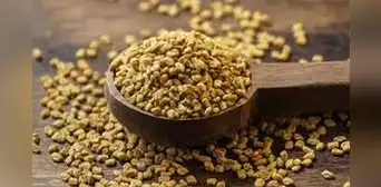 Semillas de fenogreco: el extraordinario alimento para aumentar glúteos y busto Semillas de fenogreco: el extraordinario alimento para aumentar glúteos y busto