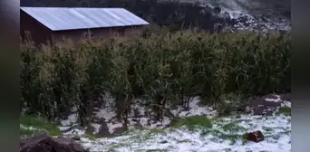 Pronostican bajas temperaturas en Cusco y Madre de Dios Pronostican bajas temperaturas en Cusco y Madre de Dios