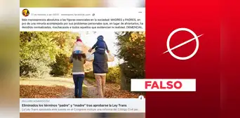 No, la Ley Trans de España no eliminó los términos 'padre' y 'madre' No, la Ley Trans de España no eliminó los términos 'padre' y 'madre'