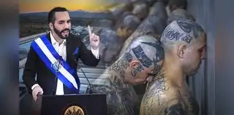 El Salvador traslada a 2.000 pandilleros a nueva prisión: “Vivirán sin hacerle daño a la población” El Salvador traslada a 2.000 pandilleros a nueva prisión: “Vivirán sin hacerle daño a la población”