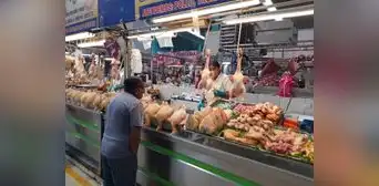 Costo del pollo no disminuye en mercados: ¿cuál es su precio y por qué incrementó? Costo del pollo no disminuye en mercados: ¿cuál es su precio y por qué incrementó?
