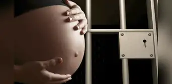 Embarazada detenida pide su libertad porque su bebé "no ha sido acusado de ningún delito"