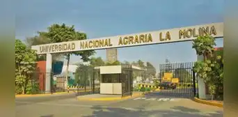 Resultados del examen de admisión Agraria 2023: revisa puntajes, ingresantes y vacantes por carrera Resultados del examen de admisión Agraria 2023: revisa puntajes, ingresantes y vacantes por carrera