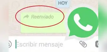 ¿Cómo reenviar fotos y memes en WhatsApp sin que aparezca la etiqueta de 'reenviado'?
