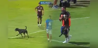 En pleno 'U' vs. Mannucci, un perro se metió al partido e interrumpió el juego por unos minutos En pleno 'U' vs. Mannucci, un perro se metió al partido e interrumpió el juego por unos minutos