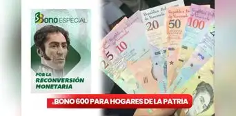 Bono de 600 para Hogares de la Patria: ¿qué se sabe del subsidio y cuándo fue el último pago? Bono de 600 para Hogares de la Patria: ¿qué se sabe del subsidio y cuándo fue el último pago?