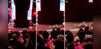 ¡La estrella del evento! Perrito se queda dormido en pleno escenario durante concierto de cantante ¡La estrella del evento! Perrito se queda dormido en pleno escenario durante concierto de cantante