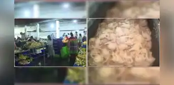 Ate: interviene local de venta de pollos donde inflaban aves en estado de descomposición