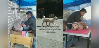 Abre su negocio para bañar a perritos, pero su primer cliente se va sin pagar Abre su negocio para bañar a perritos, pero su primer cliente se va sin pagar