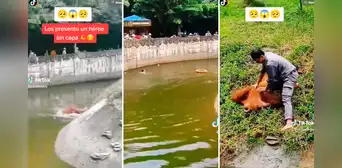 Héroe sin capa: hombre se lanza a laguna de recinto de orangutanes para evitar que uno muera ahogado Héroe sin capa: hombre se lanza a laguna de recinto de orangutanes para evitar que uno muera ahogado