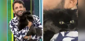 Rodrigo González sorprendió al aparecer EN VIVO junto a su gatita y generó ternura Rodrigo González sorprendió al aparecer EN VIVO junto a su gatita y generó ternura