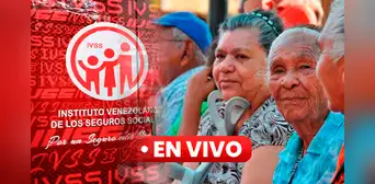 IVSS 2023: cómo consultar con cédula mi Cuenta Individual del Seguro Social IVSS 2023: cómo consultar con cédula mi Cuenta Individual del Seguro Social