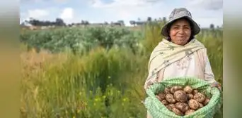 FertiAbono II se pagará desde el 3 de marzo: de cuánto será el monto, beneficiarios y más detalles FertiAbono II se pagará desde el 3 de marzo: de cuánto será el monto, beneficiarios y más detalles
