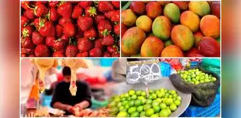 Inflación 2023: ¿cuáles son los productos que más subieron y bajaron de precio en febrero? Inflación 2023: ¿cuáles son los productos que más subieron y bajaron de precio en febrero?