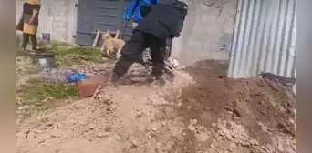 Padre de familia pierde la vida cuando limpiaba un silo junto con su hijo en Juliaca Padre de familia pierde la vida cuando limpiaba un silo junto con su hijo en Juliaca