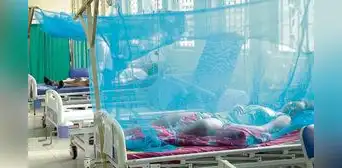 Ministerio de Salud: 76% de los casos de dengue están en seis regiones Ministerio de Salud: 76% de los casos de dengue están en seis regiones