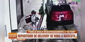 Chorrillos: repartidor de delivery acude a dejar pedido y se roba a mascota de familia Chorrillos: repartidor de delivery acude a dejar pedido y se roba a mascota de familia