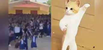 Niños inician clases con “una gatita que le gusta el mambo” en lugar del himno nacional