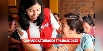 ¿Eres bachiller y buscas chamba? Programa Aurora ofrece puestos de trabajo con hasta S/5.000 de sueldo ¿Eres bachiller y buscas chamba? Programa Aurora ofrece puestos de trabajo con hasta S/5.000 de sueldo