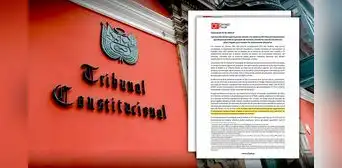 Consejo Fiscal sobre fallo del TC: "Puede afectar negativamente la recaudación tributaria futura"