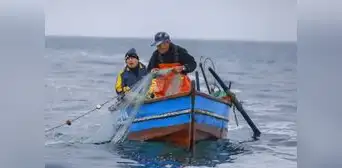 Produce aprobó listado de beneficiarios para Bono del Pescador Artesanal: conoce si estás en él Produce aprobó listado de beneficiarios para Bono del Pescador Artesanal: conoce si estás en él