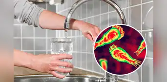 Se lava la nariz con agua del caño de su casa y muere por extraño parásito 'comecerebros' Se lava la nariz con agua del caño de su casa y muere por extraño parásito 'comecerebros'