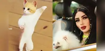 ¿Quién es Bellakath, cantante del tema “Una gatita que le gusta el mambo”? ¿Quién es Bellakath, cantante del tema “Una gatita que le gusta el mambo”?