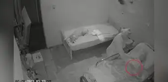 Enfermera roba joyas de anciana a quien cuidaba y culpa al perro Enfermera roba joyas de anciana a quien cuidaba y culpa al perro