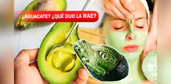¿Aguacate, palta o avocado? Estos son los más de 10 nombres que posee el oro verde ¿Aguacate, palta o avocado? Estos son los más de 10 nombres que posee el oro verde