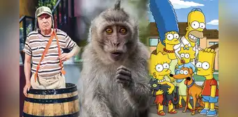 "Matanga dijo la changa": el oscuro origen de la frase que replicó "El Chavo del 8" y "Los Simpson" "Matanga dijo la changa": el oscuro origen de la frase que replicó "El Chavo del 8" y "Los Simpson"