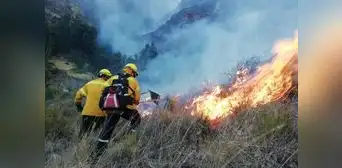 Cómo detener los incendios forestales
