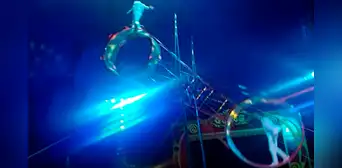 Trapecista pierde el equilibrio y cae desde 7 metros de altura a mitad del espectáculo Trapecista pierde el equilibrio y cae desde 7 metros de altura a mitad del espectáculo