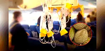 Avión regresó de urgencia al aeropuerto por el fuerte olor de una fruta asiática Avión regresó de urgencia al aeropuerto por el fuerte olor de una fruta asiática