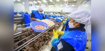 Tercerización laboral: Indecopi suspende procedimiento de barrera burocrática respecto del decreto del MTPE Tercerización laboral: Indecopi suspende procedimiento de barrera burocrática respecto del decreto del MTPE