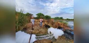 Piura: denunciaron colapso en las lagunas de oxidación Piura: denunciaron colapso en las lagunas de oxidación