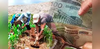 Fertiabono: más de 600.000 productores son beneficiados con el apoyo monetario