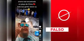 No, "sirena varada" en China no fue captada en video: se trata de una ballena No, "sirena varada" en China no fue captada en video: se trata de una ballena