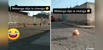 Perrito huye a toda velocidad tras llevarse una bolsa llena de cocoliche de un puesto