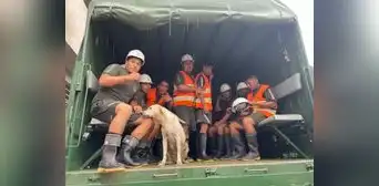 Militares rescatan a "Brenda", una perrita alcanzada por el desborde de río en Lambayeque