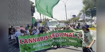 Reglamento del Minsa no beneficia a los usuarios del cannabis medicinal Reglamento del Minsa no beneficia a los usuarios del cannabis medicinal